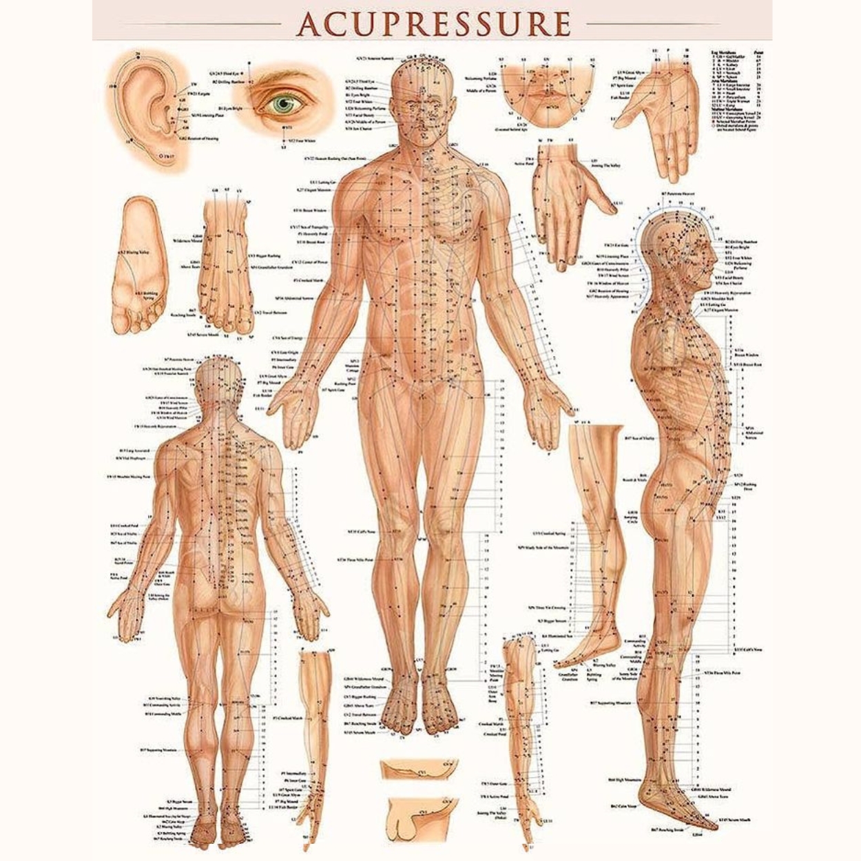 k-start-course-image